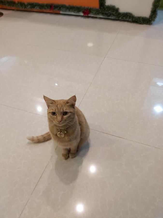 Duy Hotel Đà Lạt Extérieur photo